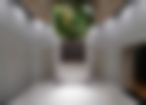 Zetith beauty clinic（整形外科.美容外科）东京银座店抖音团购活动及价格表