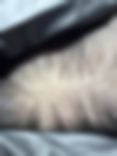 重庆蝶姿整形美容医院价格表