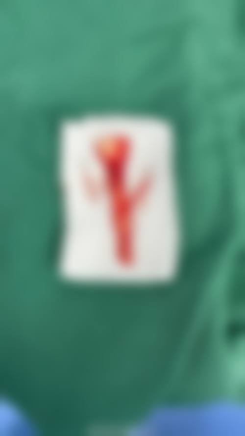 重庆长安医院整形科怎么样医生简介