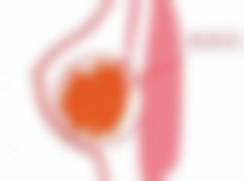 武汉斯启诺医疗美容门诊部真实实例分享