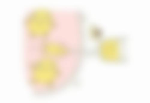 华 山医生简介项目优势