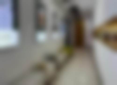 杨小顺医生口碑如何