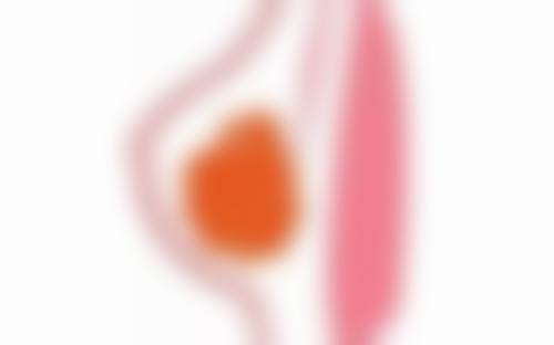 四、宁波美莱整形医院项目特色