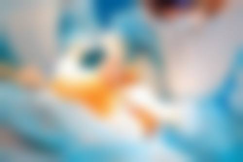 欧亚湘医生顾客实例图片