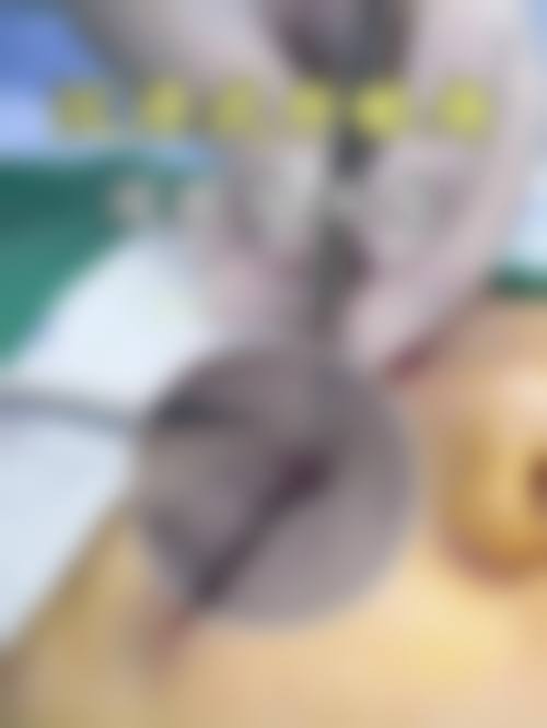 巴中双均整形美容医院项目特色