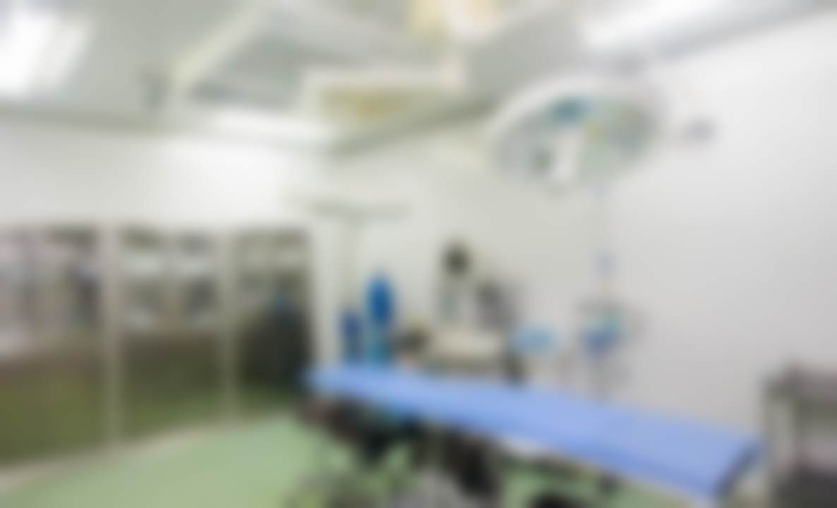 擅长项目详解