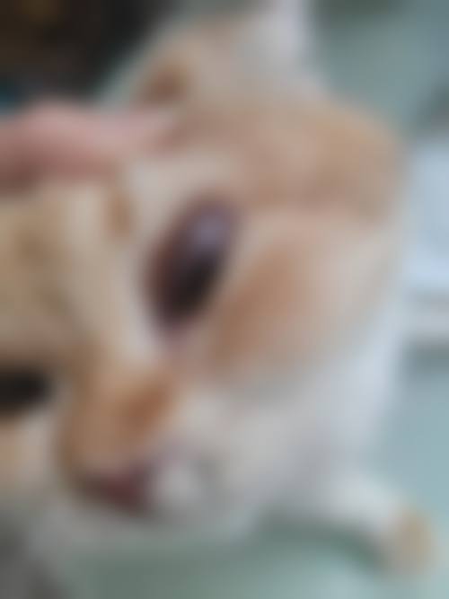 患者真实评价