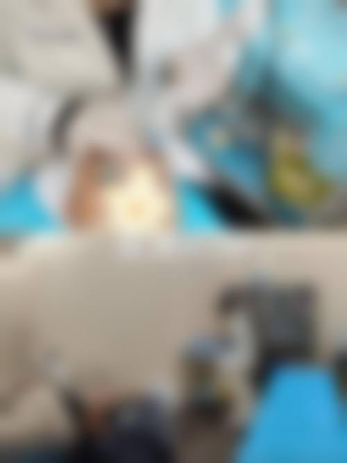 预约优惠活动