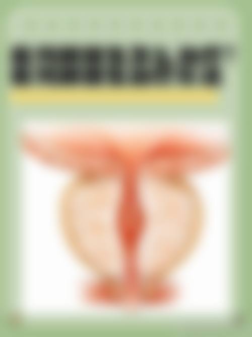 擅长项目详解