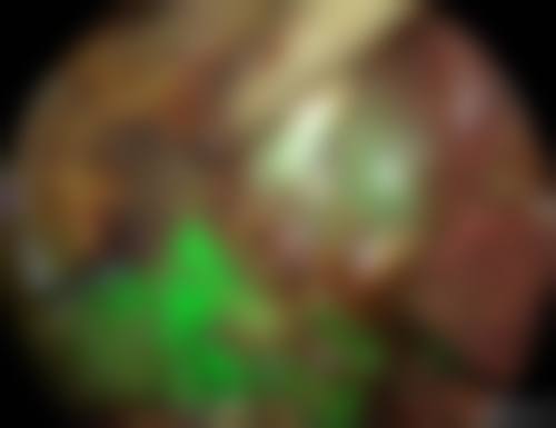FAQ:常见问题解答