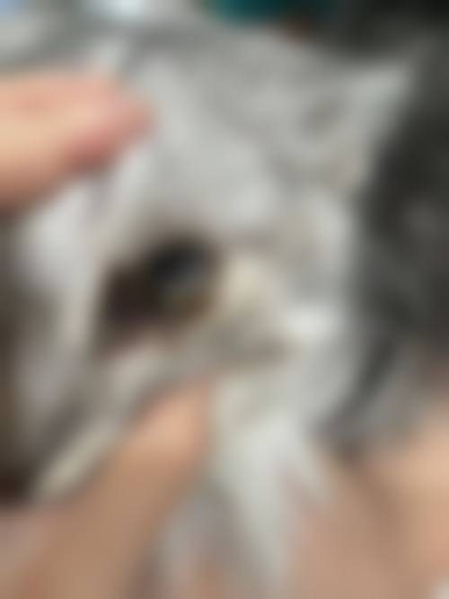 临床实例分享