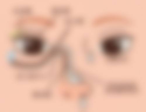 FAQ常见问题解答